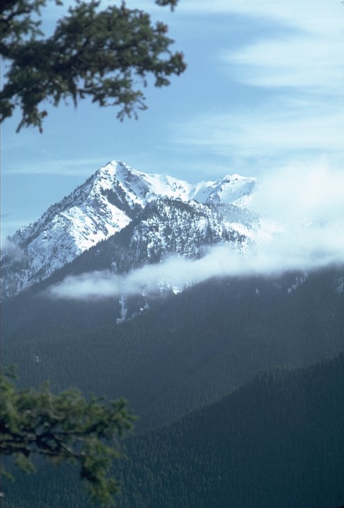 Tranquil Mountain